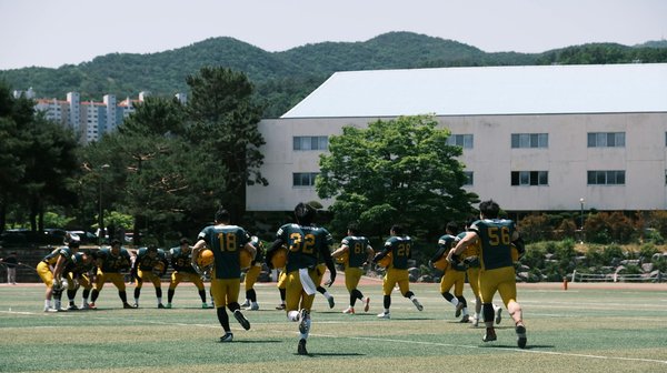 How Can the UK Improve Its Performance in International Sporting Events?